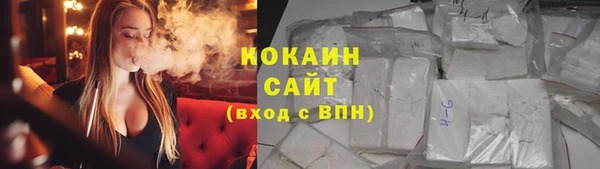 метадон Алексин