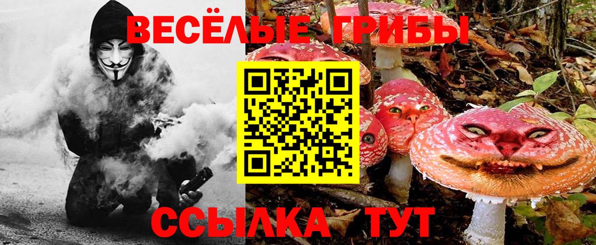 Галлюциногенные грибы мухоморы Набережные Челны